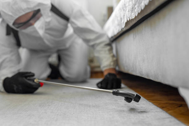 Professional Ant Control technician working in Groves, TX
